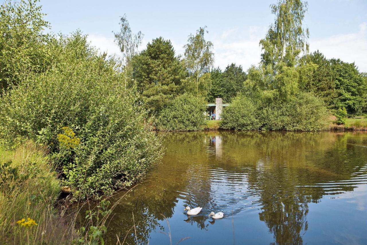 Center Parcs Limburgse Peel Limburg-Brabant Hotel America Exterior foto